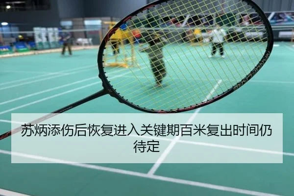 苏炳添伤后恢复进入关键期百米复出时间仍待定