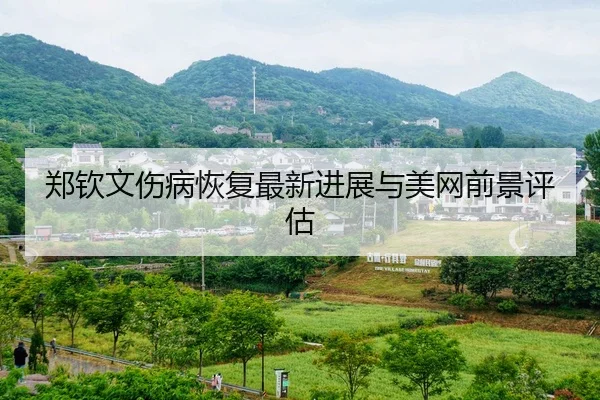 郑钦文伤病恢复最新进展与美网前景评估
